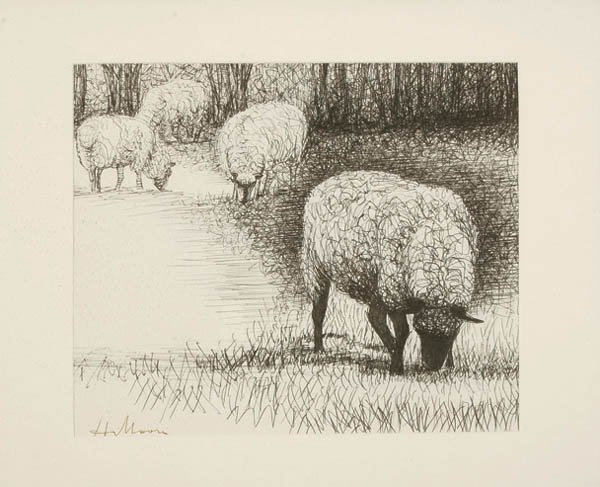 4 Sheep Grazeing 1898