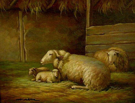 4 Sheep in Barn