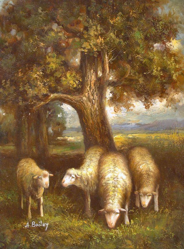 4 Sheep in the Wood