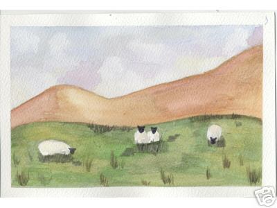 4 Welsh Sheep