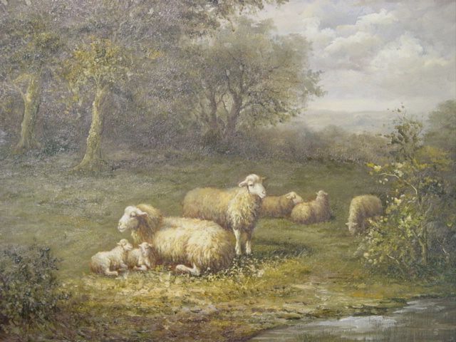 5 Ewes 2 Lambs