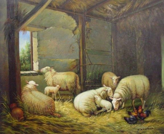 5 Ewes 2 Lambs B