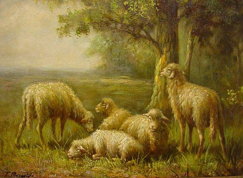 5 Ewes in Repose