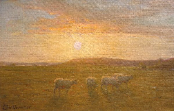 5 Sheep at Sunset
