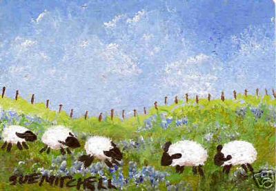 5 Sheep Eat Bluebonnets