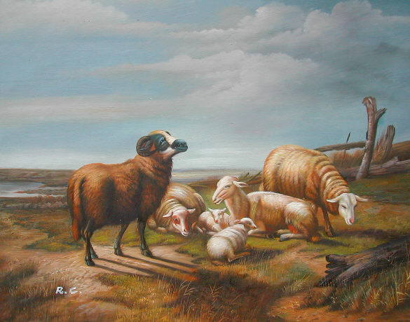 5 Sheep on a Hillside