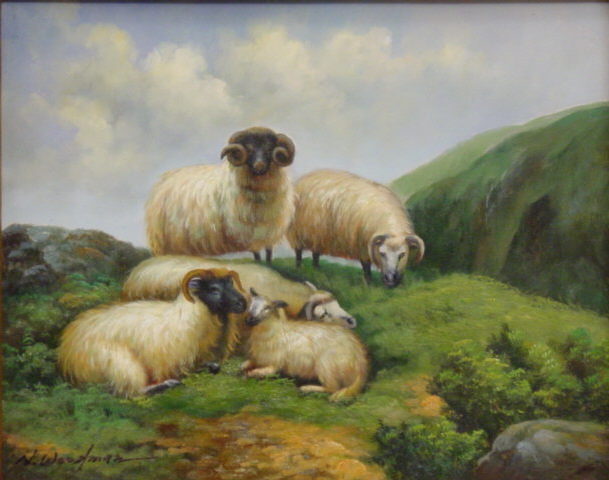 5 Sheep on the Hillside