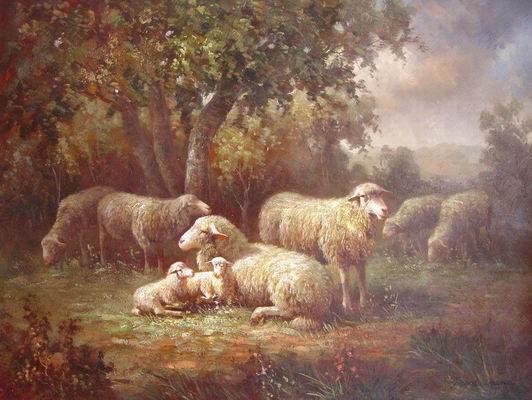 6 Ewes 2 Lambs