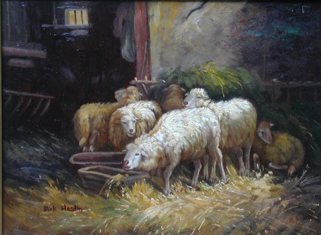 6 Sheep in the Shed