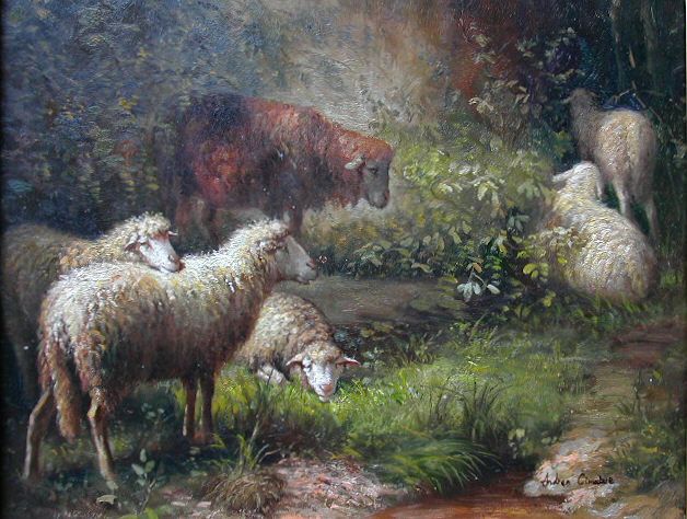 6 Sheep in the Woods