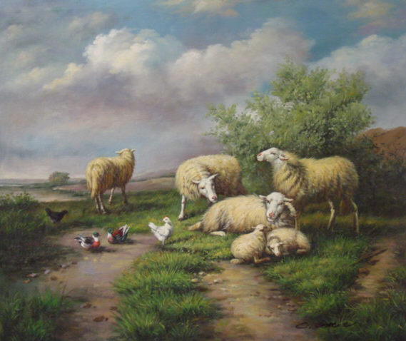 6 Sheep with Chickens and Ducks