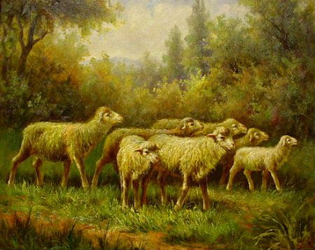 7 Alert Sheep