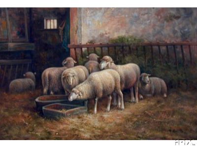 7 Ewes in Barn