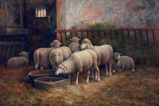 7 Ewes in Barn 1