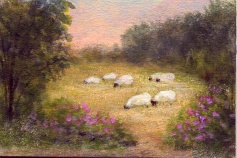 7 Ewes in Summer Pasture