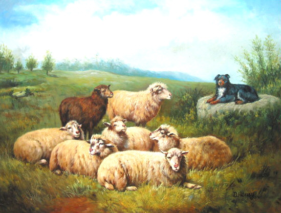 7 Ewes with Dog