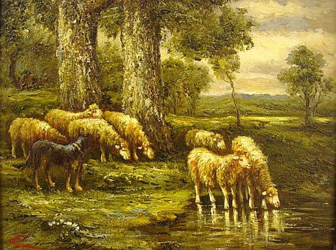 7 Sheep Drinking with Dog