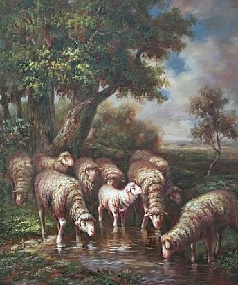 8 Ewes 1 Lamb
