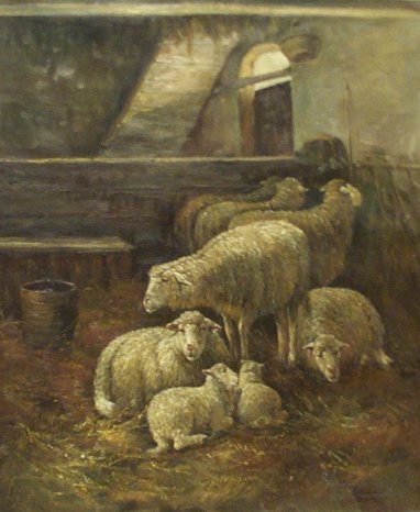 8 Sheep in Barn