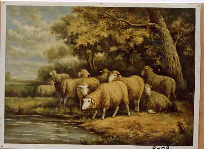 9 Ewes By the Water