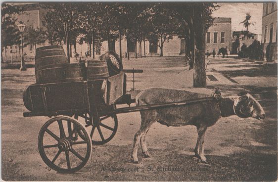 A Sheep Cart in the Azores