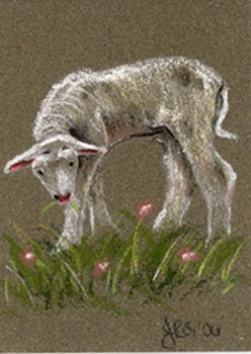 Aceo Sheep Lamb Pastel