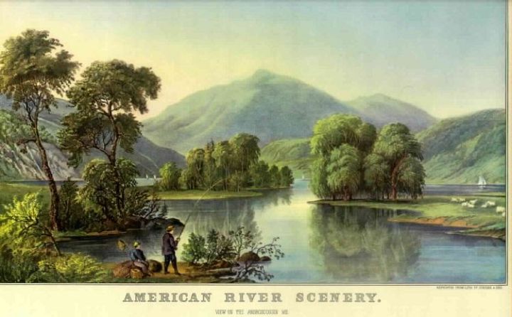American River Scenery with Sheep