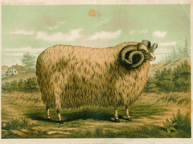 Ancient Kent Ram