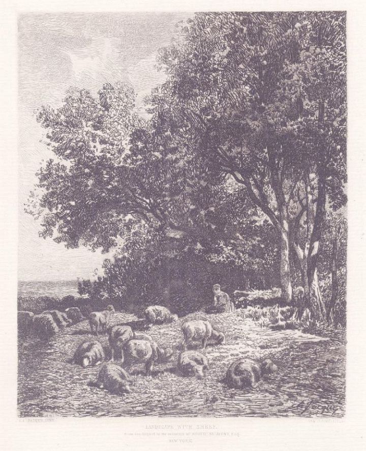 Antique Sheep Etching