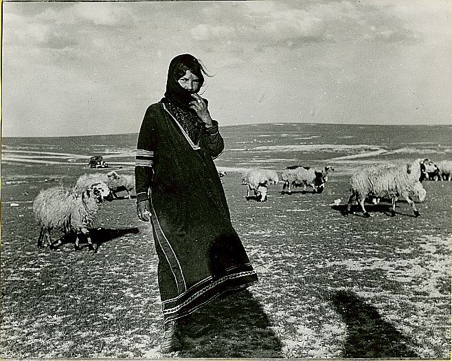 Arab Shepherdess with Sheep