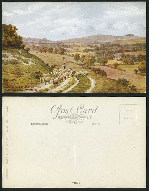 Arq Old Postcard Sussex Chantonbury Ring Cissbury Sheep