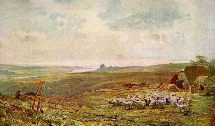 Aumonier Farm Sheep