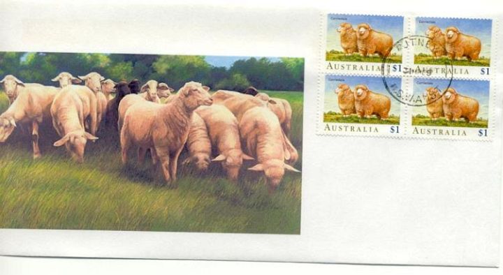 Australia Sheep Persons