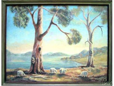 Australian Sheep By the Lake