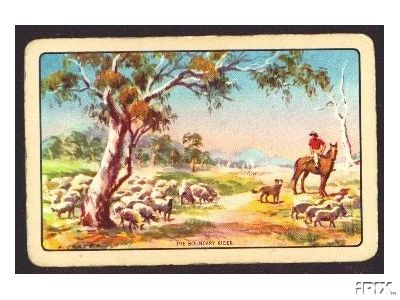 australian shepherd with horse