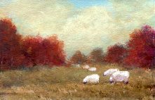 Autumn Sheep