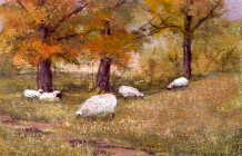 Autumn Sheep 1