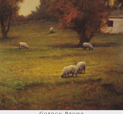 Autumn Sheep Grazing