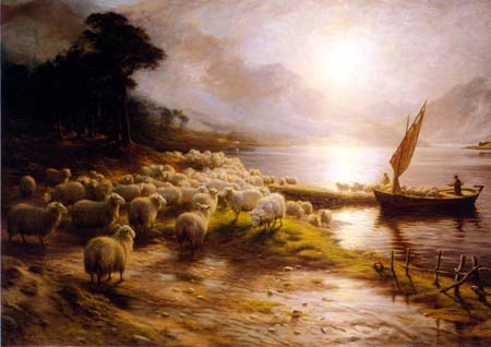 Beautiful Flock of Sheep on the Loch