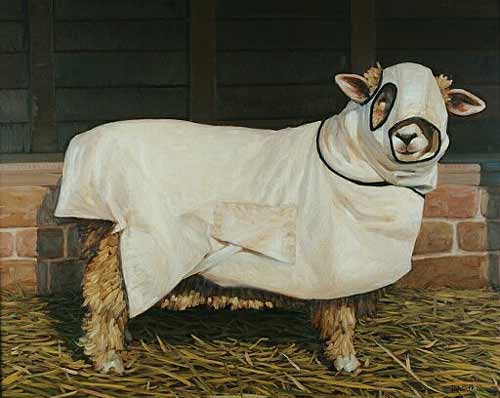 Beck Sheep Clothing
