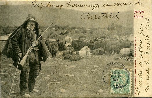 Berger Corse Rifle Sheep Shepherd Bastia France