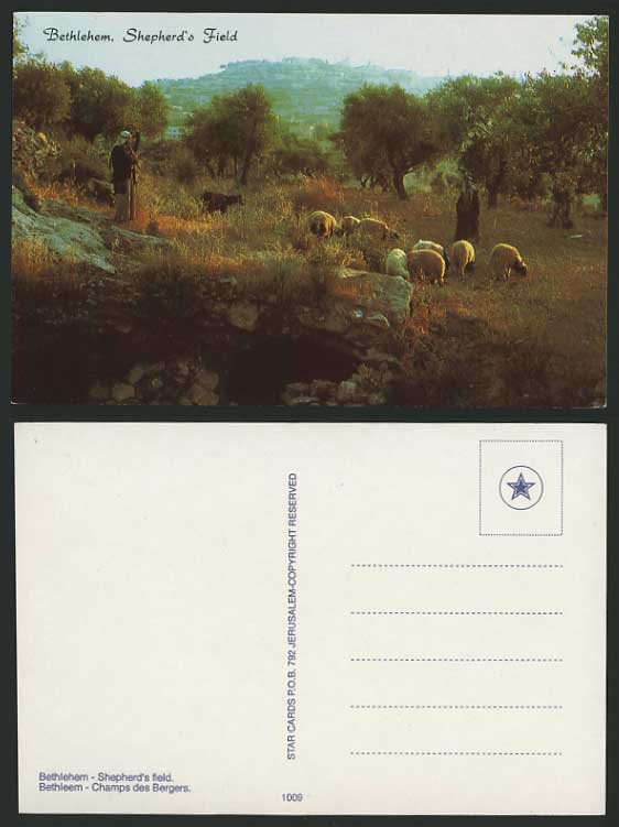 Bethlehem Shepherds and Sheep