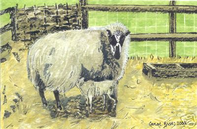 Beulah Sheep and Lamb