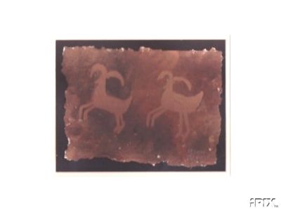 Big Horn Sheep Petroglyph