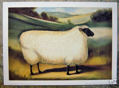 Black Faced Sheep Art Print