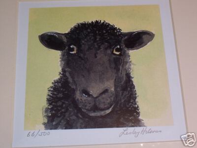 Black Sheep Portrait