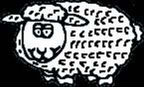 Blinking Sheep1