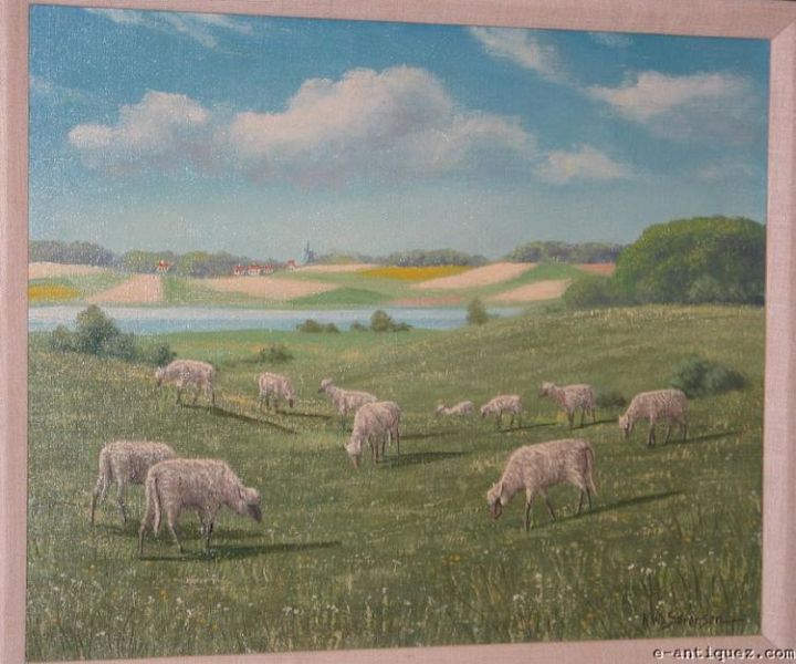 Blue Faced Sheep in Holland