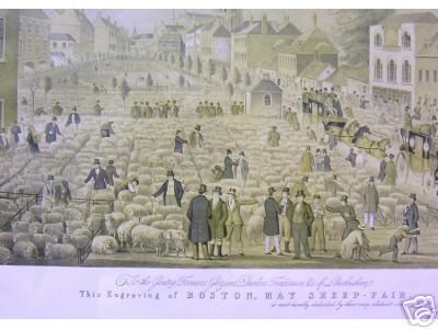 Boston Sheep Fair