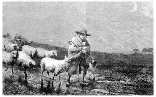 Bottomley Sheep with Shepherd and Dog